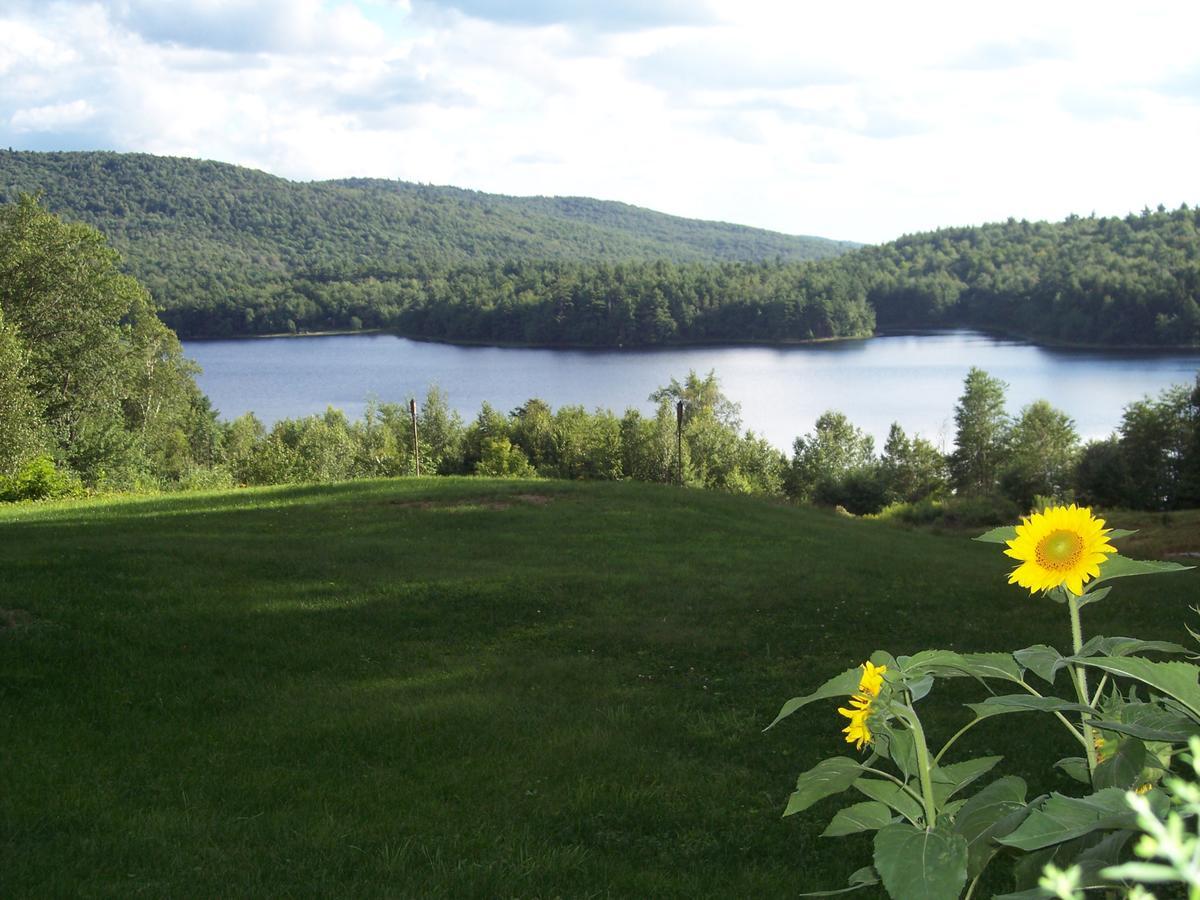 Hummingbird Hill Bed and Breakfast Stoddard Esterno foto