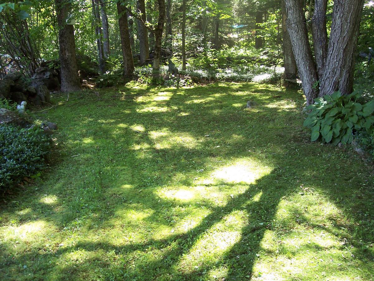Hummingbird Hill Bed and Breakfast Stoddard Esterno foto