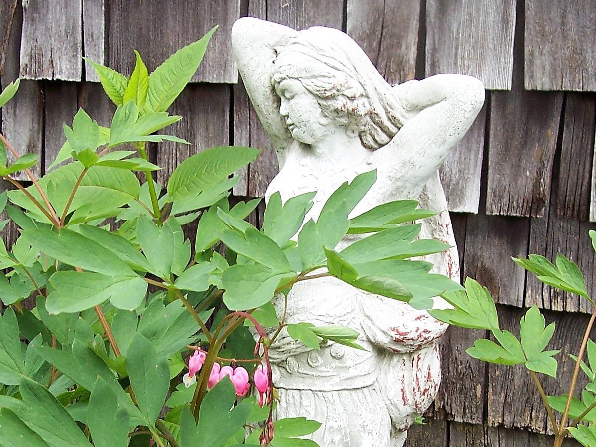 Hummingbird Hill Bed and Breakfast Stoddard Esterno foto