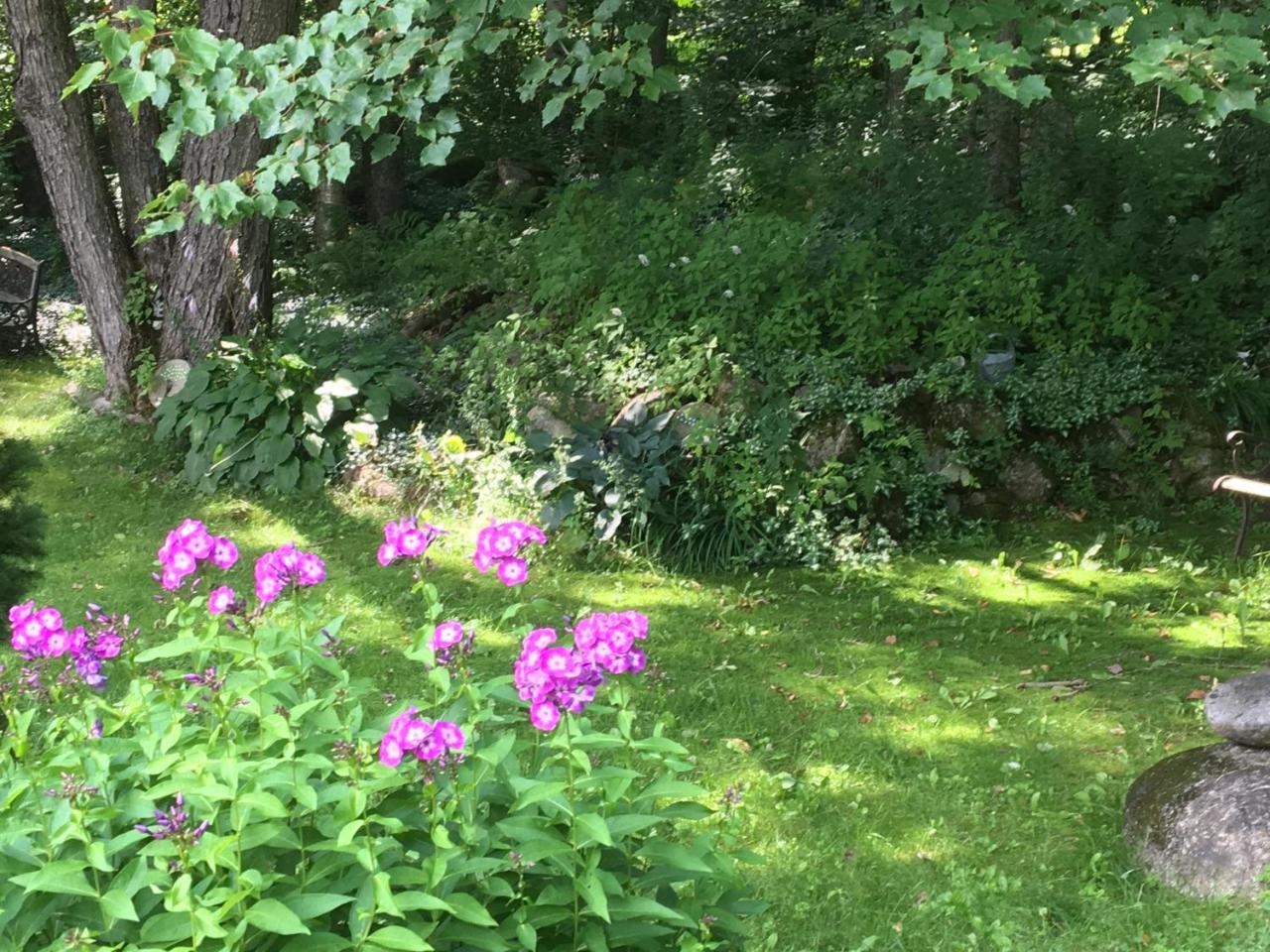 Hummingbird Hill Bed and Breakfast Stoddard Esterno foto